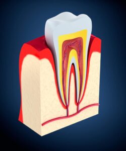 improve your gum health in Akron, PA